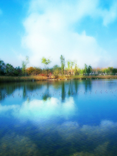 秀丽风景 535)