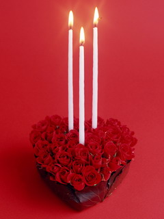 鲜花桌面图片 1096)