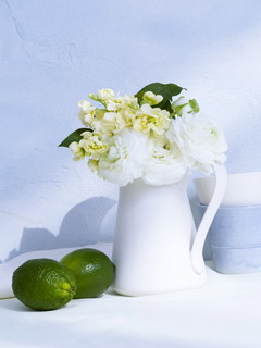 鲜花桌面图片 1098)