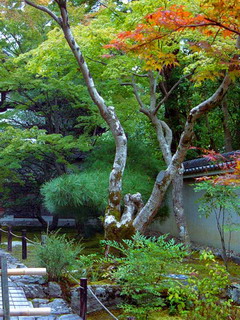 如画风景，体现手机的屏幕质感　系列一 1587)