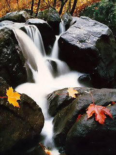 如画风景，体现手机的屏幕质感　系列一 1576)