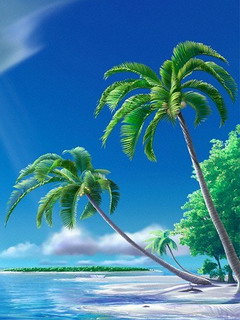 如画风景，体现手机的屏幕质感　系列二 1590)