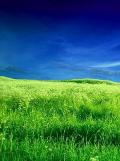 如画风景，体现手机的屏幕质感　系列二 1589)
