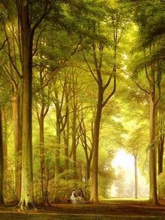 如画风景，体现手机的屏幕质感　系列四 1630)
