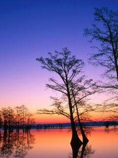风景壁纸夕阳无限好 2453)