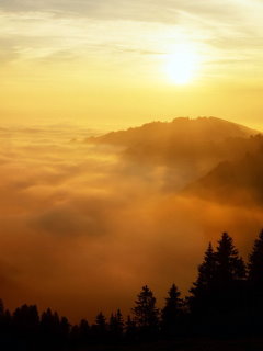 自然风景图片夕阳无限好 2473)