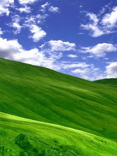 又是风景图 2538)