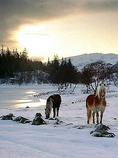 又是风景图 2554)