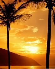 几度夕阳红风景图片 2624)