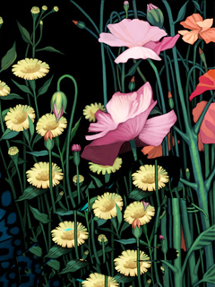 花的世界 2867)