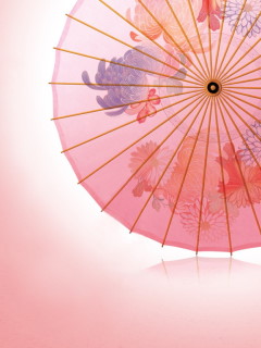 伞的世界 3002)