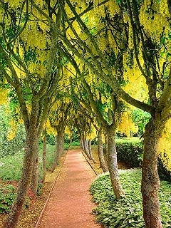 路-风景迷人 3117)