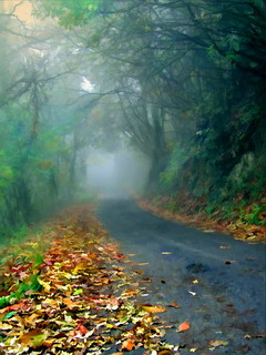 路-风景迷人 3112)