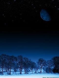 月夜 3215)
