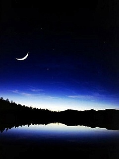 月夜 3214)