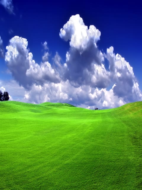 大屏手机风景图 3752)