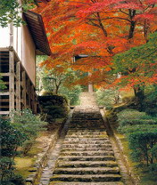 绚烂风景，仙境图二 3819)