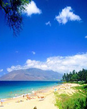 夏日海滩风景手机桌面图片 4349)