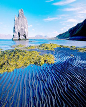 夏日海滩风景手机桌面图片 4338)