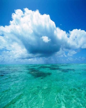 夏日海滩风景手机桌面图片 4353)