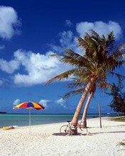 夏日海滩风景手机桌面图片 4340)