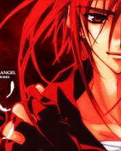 天使怪盗DN Angel 动漫桌面 4548)