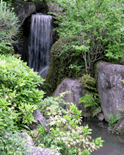 动态山水风景图片 5202)
