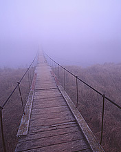 风景意境图，冬天的雪 6041)
