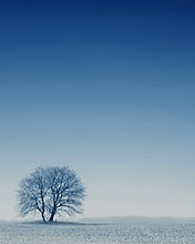 风景意境图，冬天的雪 6037)