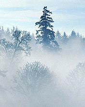 风景意境图，冬天的雪 6044)
