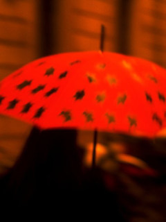 红色记忆手机图片 6421)