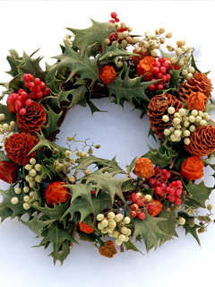 圣诞松果Christmas Pinecone! 7072)
