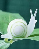 动物类手机待机图片大合集 7522)