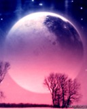 梦幻风景图 7560)