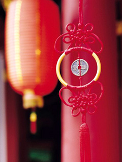 欢喜中国年，欢喜新春图 8048)