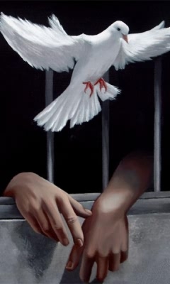240x400抽象高清壁纸 8479)
