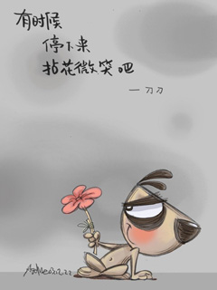 小狗刀刀语录壁纸 8848)