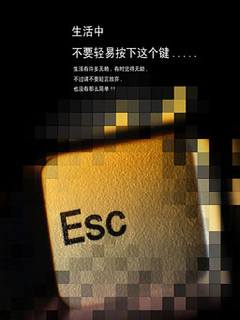 240 320手机图片-非主流 9024)