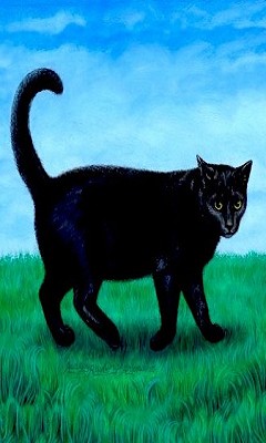 各品种猫图片 9074)