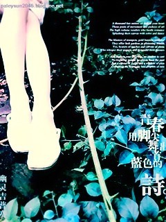流行的个性手机图片 9101)