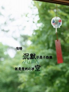 流行的个性手机图片 9112)