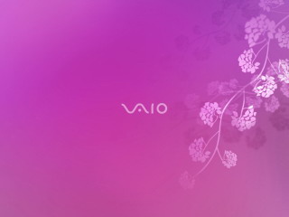 sony笔记本专用壁纸改的320x240手机mp4壁纸 11179)