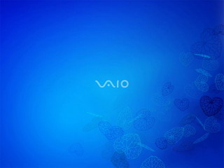 sony笔记本专用壁纸改的320x240手机mp4壁纸 11177)