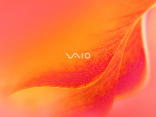 sony笔记本专用壁纸改的320x240手机mp4壁纸 11180)