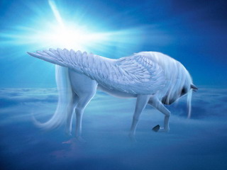 天马行空奇幻绘画 11184)