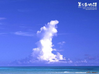 320x240唯美风景壁纸 11301)