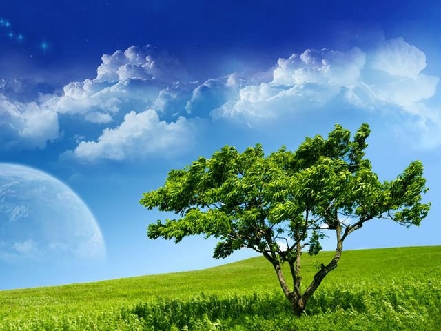 蓝天白云绿草地风景壁纸 11693)