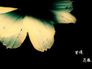个性签名档图片 11730)