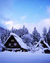 冰天雪地风景图 12078)