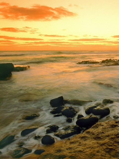 海洋风光 12134)